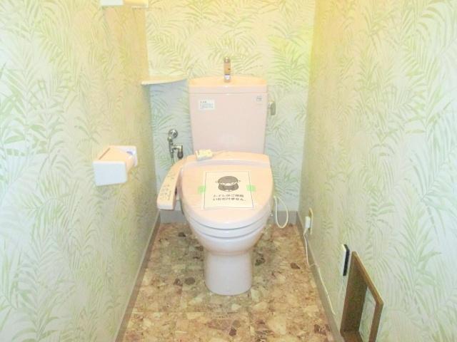 Toilet. It is with warm water washing toilet seat
