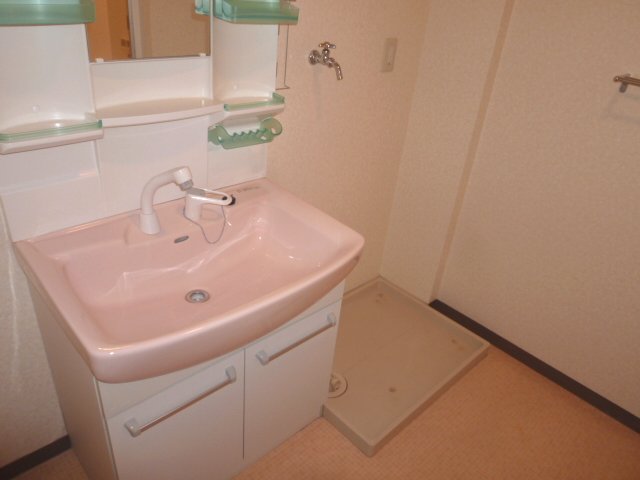 Washroom. It is vanity with popular shampoo dresser