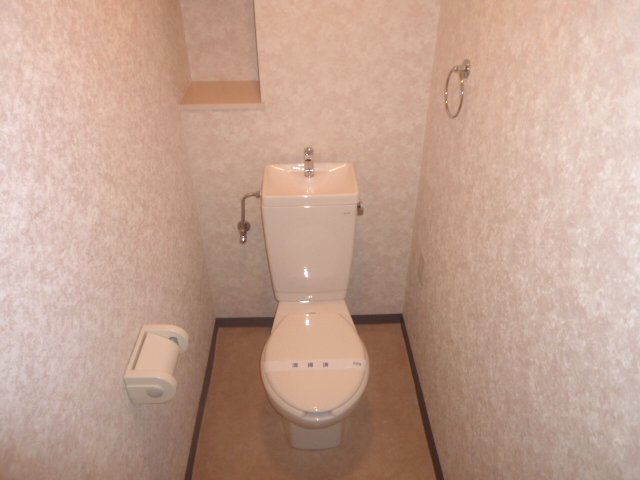 Toilet. Washlet is possible installation