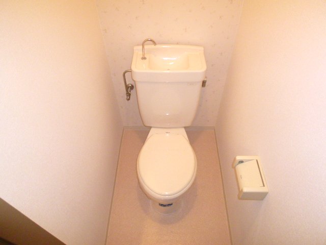 Toilet. It is a toilet with a clean.