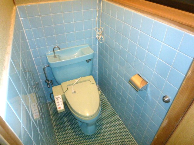 Toilet. Also it has a small window with a bidet. 