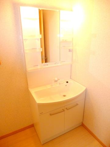 Same specifications photos (Other introspection). Shampoo is Dresser