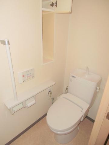 Toilet. It is a high-function toilet