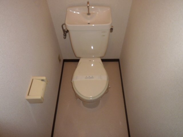 Toilet. It is intimate toilet. 