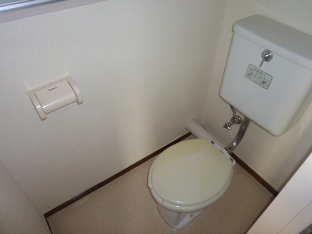 Toilet. Separate toilet. 