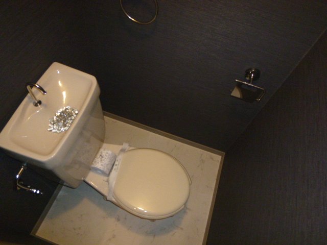 Toilet. Toilet also has become fashionable feeling.