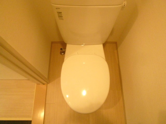 Toilet. Beautiful toilet.