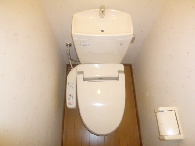 Toilet. The toilet comes with a bidet! ! 