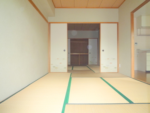 Other room space. Japanese style room