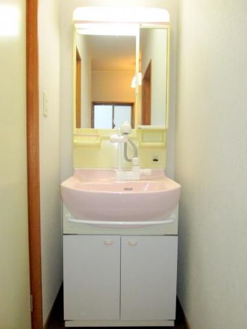 Wash basin, toilet. Shampoo is Dresser