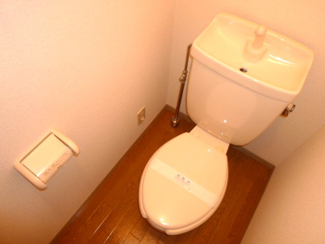 Toilet. Warm toilet