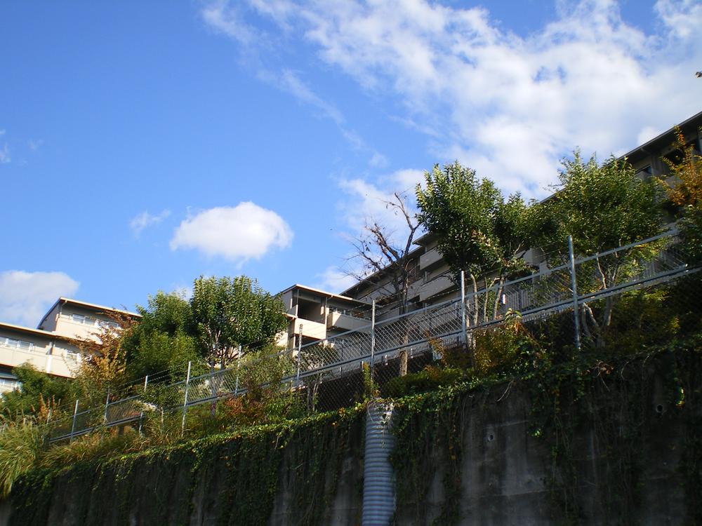 Local appearance photo. Local (11 May 2013) Shooting