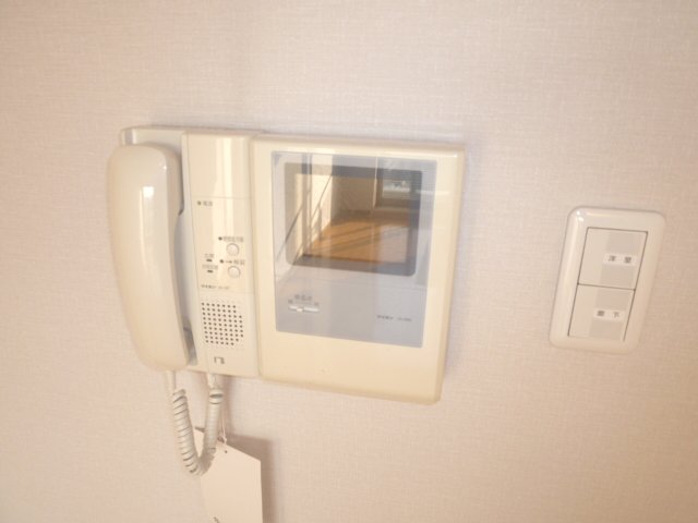 Security. Safely in women intercom with TV monitor. 