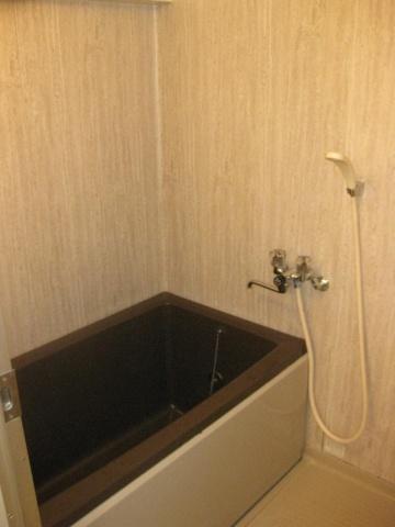 Bathroom. Interior