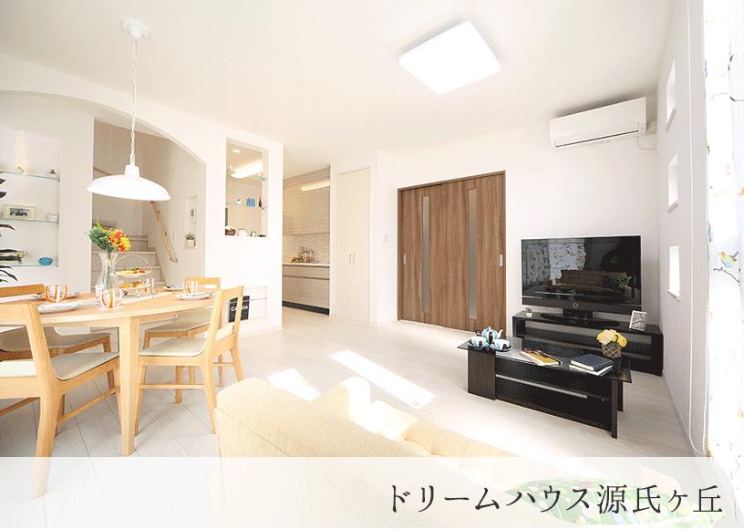 Other. Dream House Genji months hill (our construction cases)