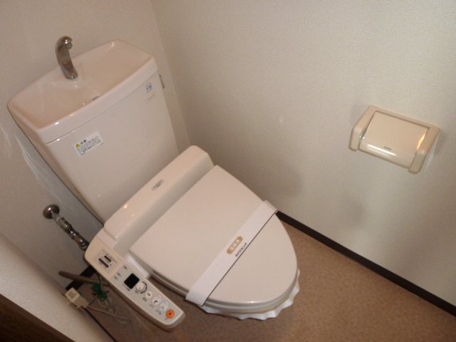 Toilet. Clean toilet. 