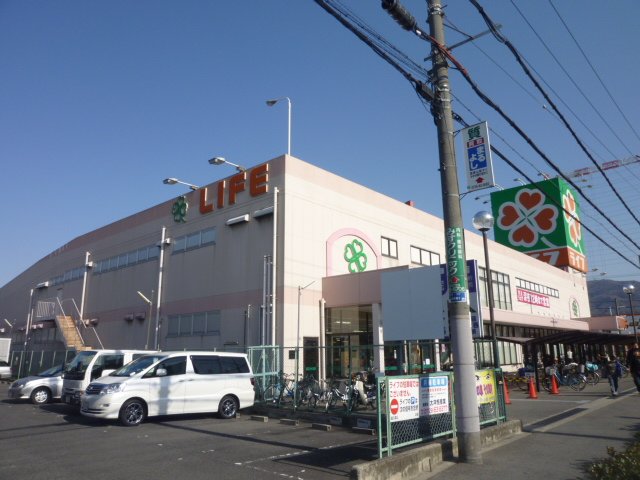 Supermarket. 1040m to life sacred Shinto tree branch store (Super)