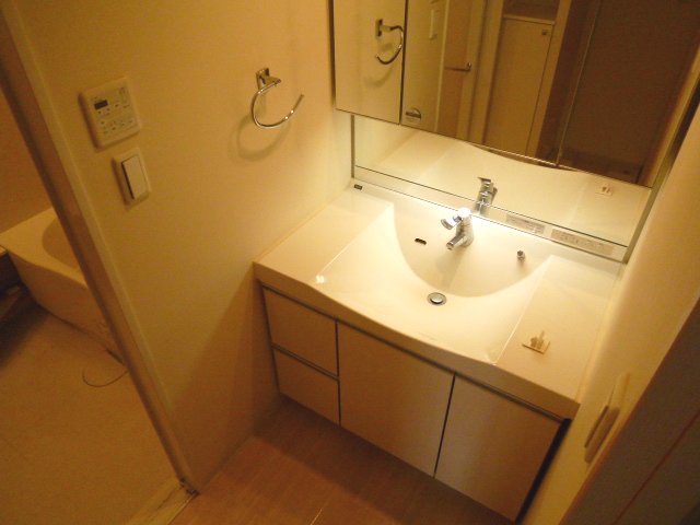 Washroom. It is a stylish wash basin with a feeling of luxury.