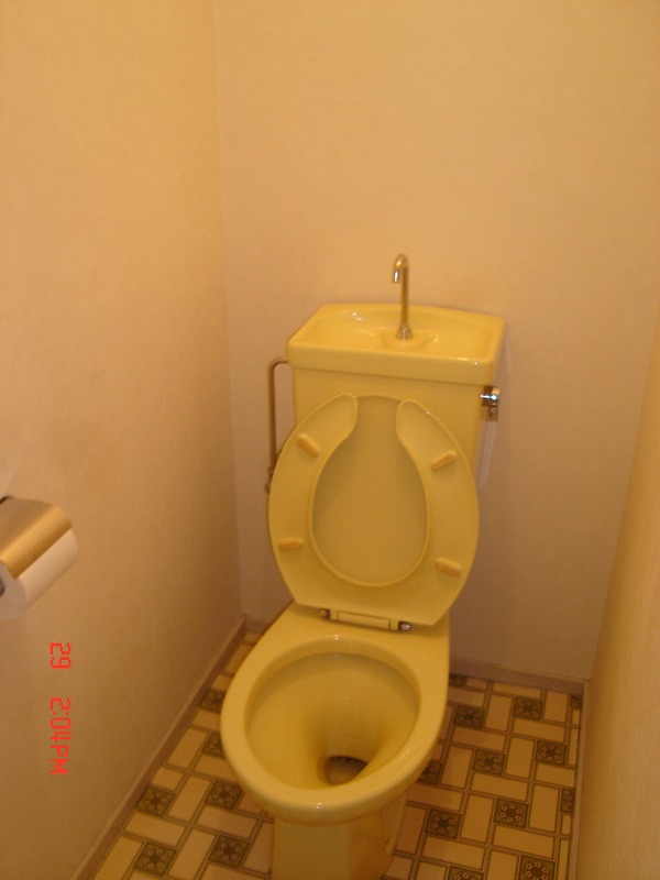 Toilet