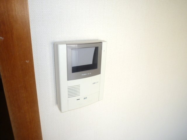 Security. TV is a monitor with intercom. 