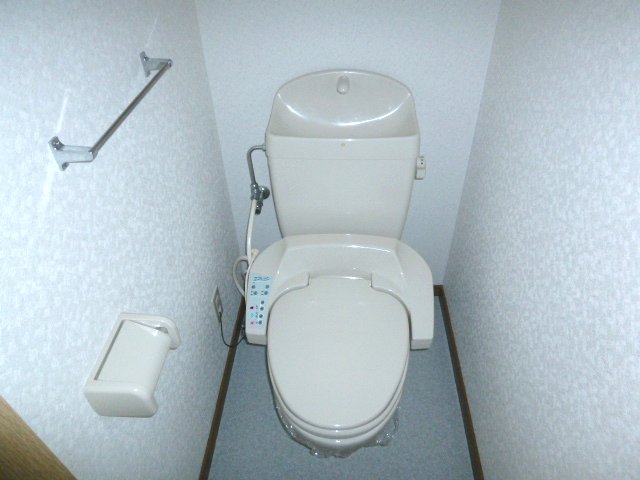 Toilet. Stylish toilet.