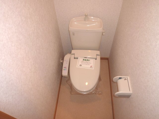 Toilet. Toilet is with a bidet. 