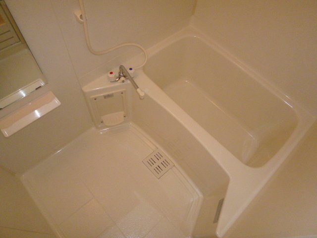 Bath. It is spacious bathroom space.