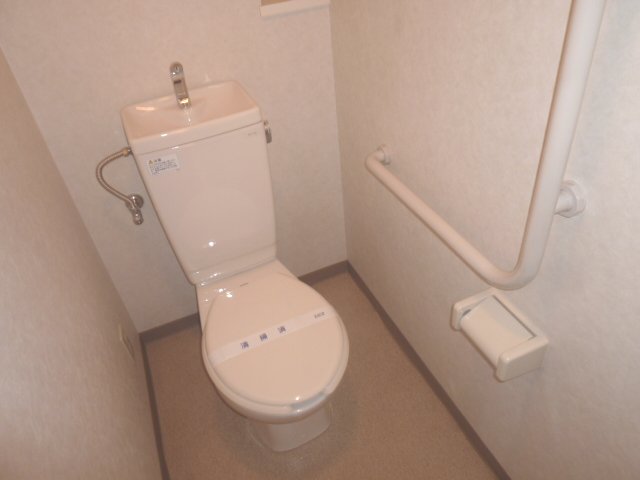 Toilet. Washlet is possible installation