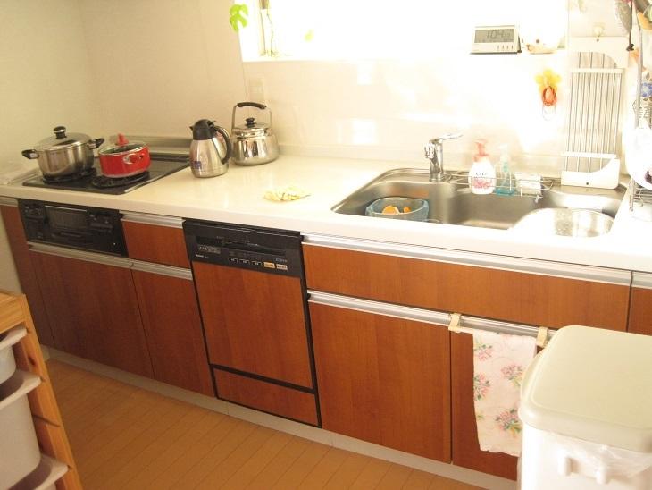 Kitchen. Good system kitchen user-friendly with a dish dryer! 