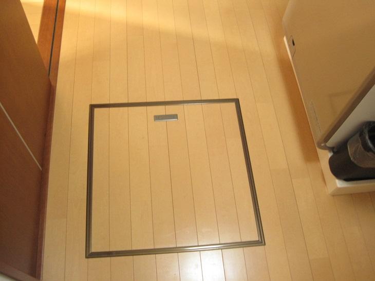 Other. Useful underfloor storage!