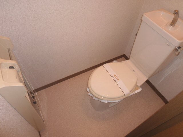 Toilet. It is a toilet with a clean. 