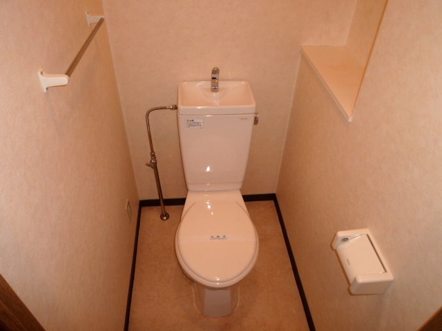 Toilet. It is a convenient toilet if there is a shelf