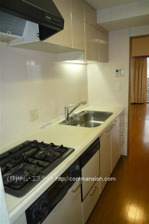 Kitchen. Clean your kitchen with dishwasher dryer