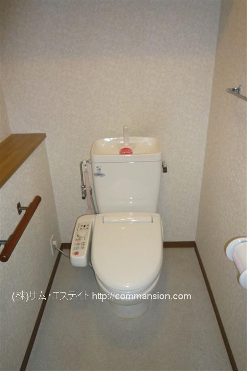 Toilet. There is also a shower with a toilet seat handrail!