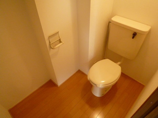 Toilet. It is fine spacious toilet. 