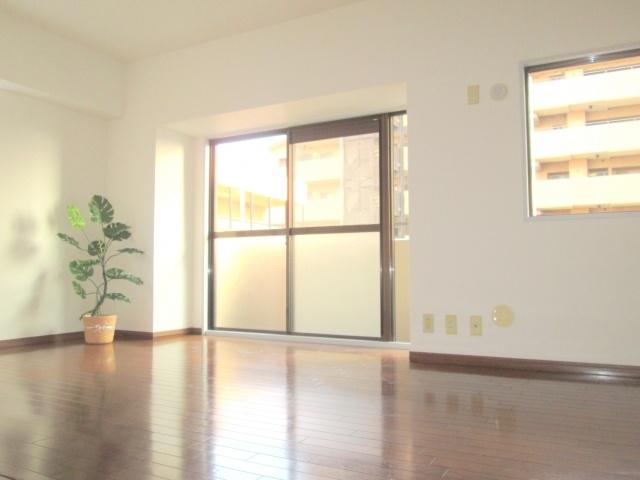 Living. Room clean in pre-reform