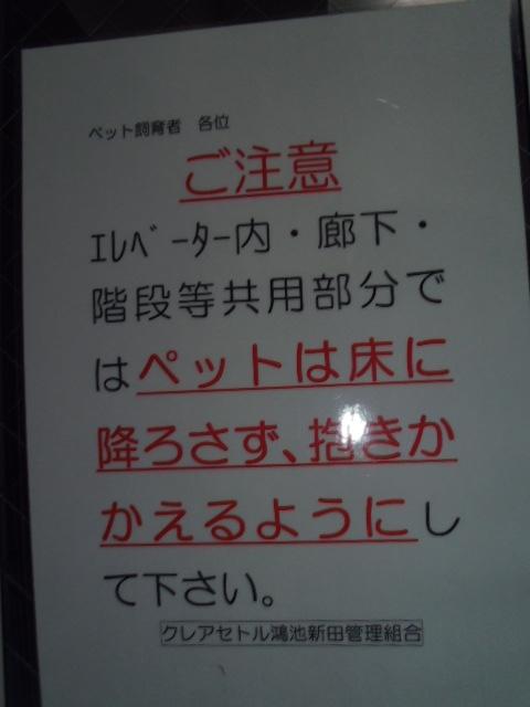 Local appearance photo. (November 2013) Shooting