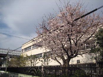 Junior high school. Higashi Osaka Municipal Takaida junior high school (junior high school) up to 854m
