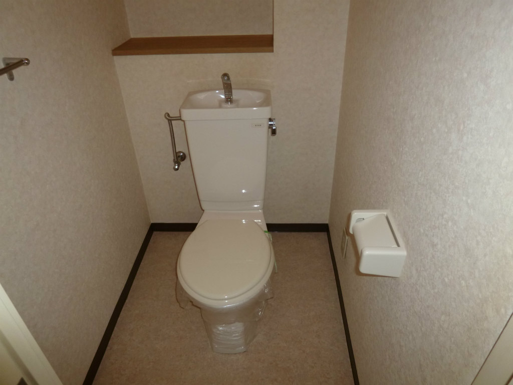 Toilet