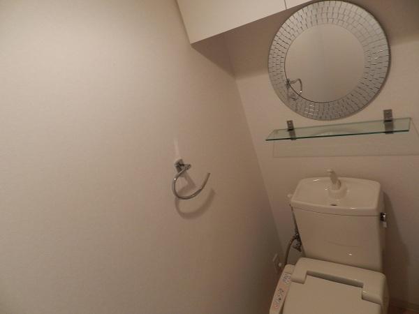 Toilet. High-function toilet Top there is a storage