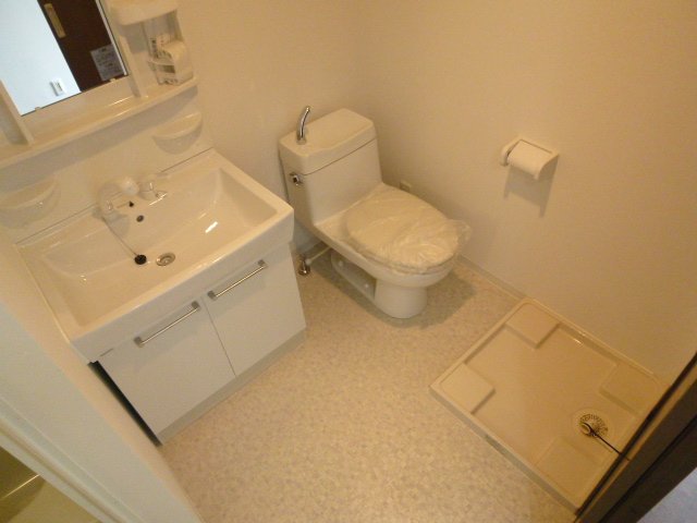 Washroom. Stylish American separate type of washroom. 