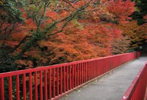 Streets around. 1200m from the famous plum grove "Maioka park"