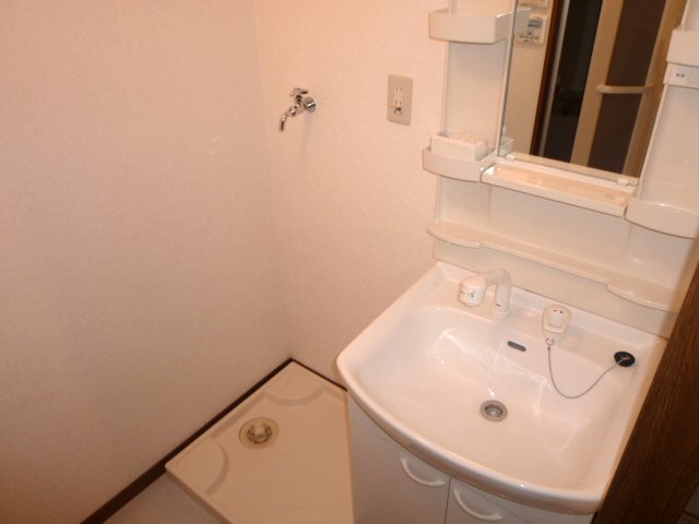 Washroom. Shampoo dresser, There yard indoor washing machine