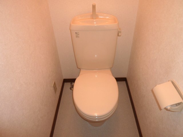 Toilet. It is a toilet with a clean