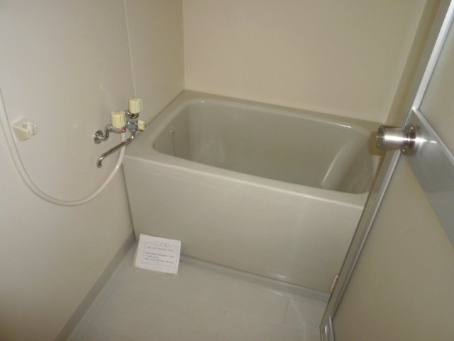 Bath. This bath spacious space