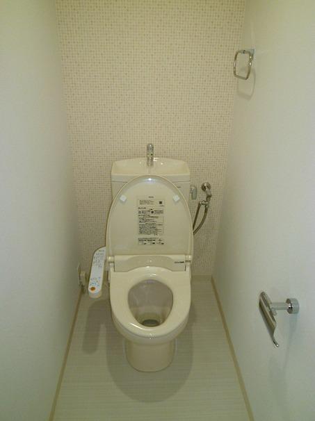 Toilet. Toilet was also brighter in renovation.