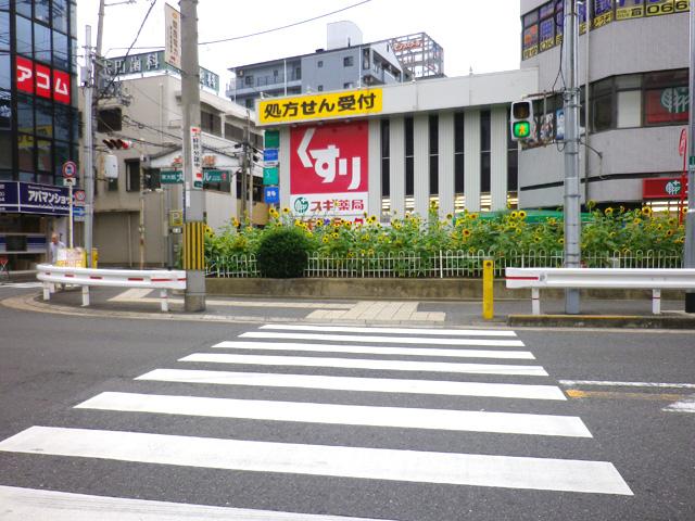 Other. Cedar pharmacy About 500m