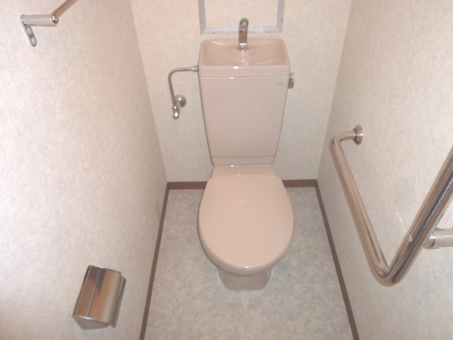 Toilet. It is helpful to have a handrail! 