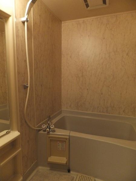 Bath. Wide bathroom