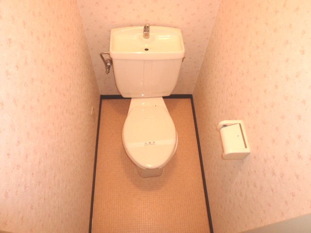 Toilet. It is stylish and clean toilet.